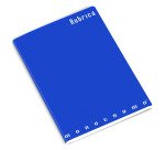 Rubrica Monocromo punto metallico A5 40 ff a righe colori assortiti