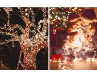 Jamasia Guirlande lumineuse LED, 80 ampoules, IP 44, vert