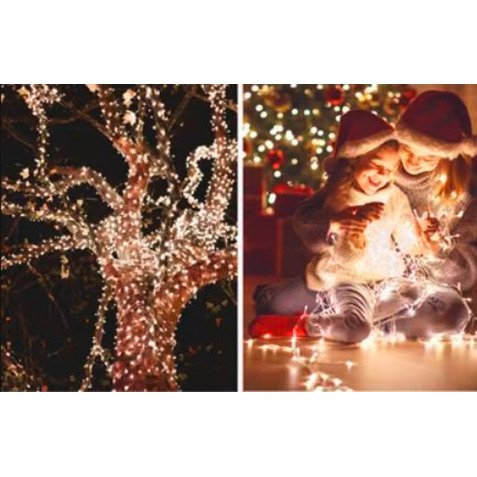 Jamasia Guirlande lumineuse LED, 80 ampoules, IP 44, vert