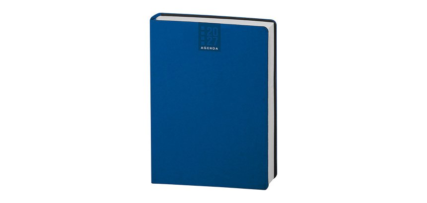Maxi agenda 2027 17x24 cm giornaliera 336 pagine copertina flessibile