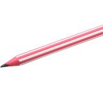 Matite BIC Evolution Stripes HB 12 unità