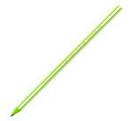 Matite BIC Evolution Stripes HB 12 unità