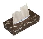 Mouchoirs double épaisseur Lucart EcoNatural - Boîte de 100