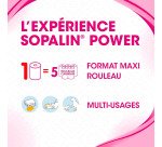 Essuie-tout Sopalin Power