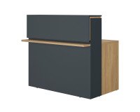 Geradlinige Empfangstheke L 120 cm Well