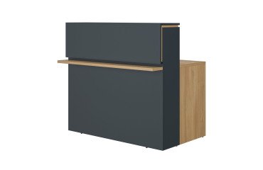 Straight reception desk L 120 cm Well anthracite/oak