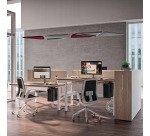 Desk with 2 electrically adjustable height Ergomaxx Mémo L 160 x W 80 cm elm top