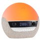 Simulateur d'aube Lumie BODYCLOCK LUXE 700 FM