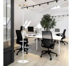 Portemanteau aurora blanc