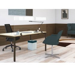 Schermwand B-Zen in gehard glas H 60 cm