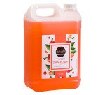 Savon liquide pêche Boldair – bidon de 5 litres