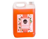 Savon liquide Boldair pêche - Bidon de 5 L