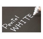 Marqueur permanent Pentel White 100W M pointe conique 3,9 mm