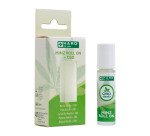 Roll-on menthe + CBD, stick de 10 ml
