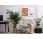 Tableau mixte liège / blanc laqué magnétique cadre bois Bi-Office