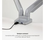 Braccio Monitor Doppio Fellowes Platinum Silver