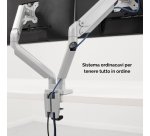 Braccio Monitor Doppio Fellowes Platinum Silver