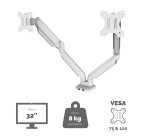 Braccio Monitor Doppio Fellowes Platinum Bianco