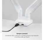 Braccio Monitor Doppio Fellowes Platinum Bianco