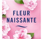 Désodorisant Febreze Brume d'air Fleur naissante - Aérosol 185 ml