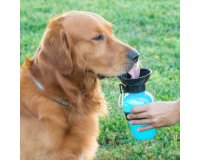 Botella bebedero de agua para perros