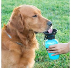 Botella bebedero de agua para perros