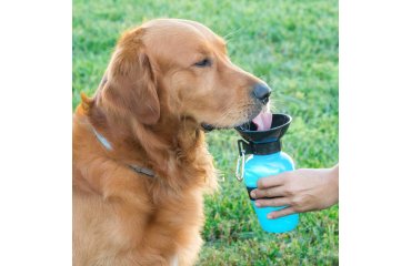 Botella bebedero de agua para perros