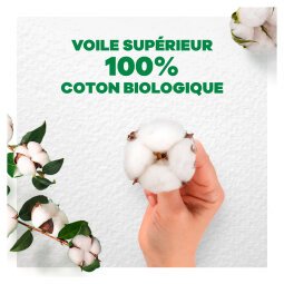 Serviettes hygiéniques long avec ailettes Cotton Bio Always