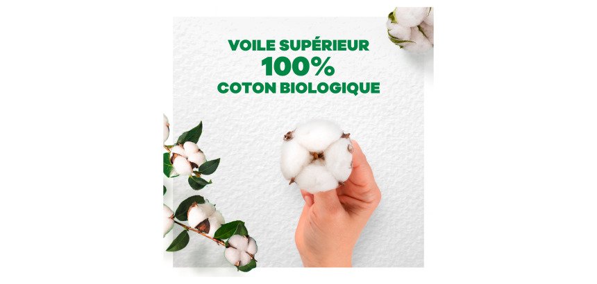 Serviettes hygiéniques long avec ailettes Cotton Bio Always