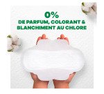 Serviettes hygiéniques long avec ailettes Cotton Bio Always