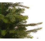 Sapin MINI GRANDIS avec pot - Hauteur 60 cm