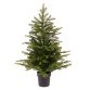 Sapin mini avec pot - Hauteur 60 cm