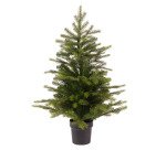 Sapin MINI GRANDIS avec pot - Hauteur 60 cm