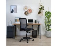 Cassettiera in metallo 3 cassetti di cui 1 grande fornita montata Bruneau