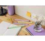 Crayon à papier Bic Evolution pastel HB - Boïte de 12