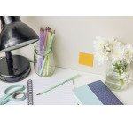 Crayon à papier Bic Evolution pastel HB - Boïte de 12