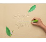 Correcteur à sec rétractable Pilot Begreen largeur 4 mm - Longueur 6 m