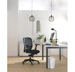 Fauteuil anzio dossier bas