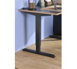 Mesa con regulación en altura eléctrica 160 x 80 cm ErgoSup