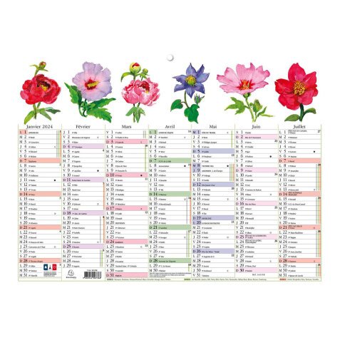 Calendrier Fleurs avec illustrations 29,5 x 22 cm Semestriel 2025