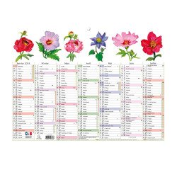 Calendrier Fleurs avec illustrations 29,5 x 22 cm Semestriel 2026