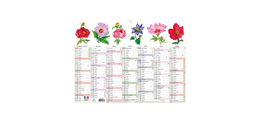 Calendrier Fleurs avec illustrations 29,5 x 22 cm Semestriel 2026