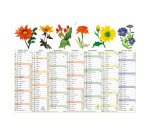 Calendrier Fleurs avec illustrations 29,5 x 22 cm Semestriel 2026