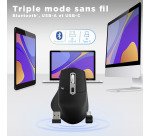 Souris sans fil semi ergonomique ICLICK TNB noire