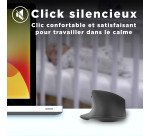 Souris sans fil semi ergonomique ICLICK TNB noire