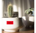 Ruban laminé Brother 18 mm TZE 441 rouge écriture noire