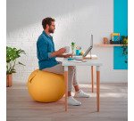 Palla da seduta diametro  65 cm Leitz Ergo Cosy colorata