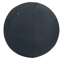 En_palla d65cm grigio scuro leitz ergo