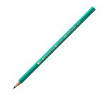 BIC Pencil Ecolutions™ Evolution HB Pack 12