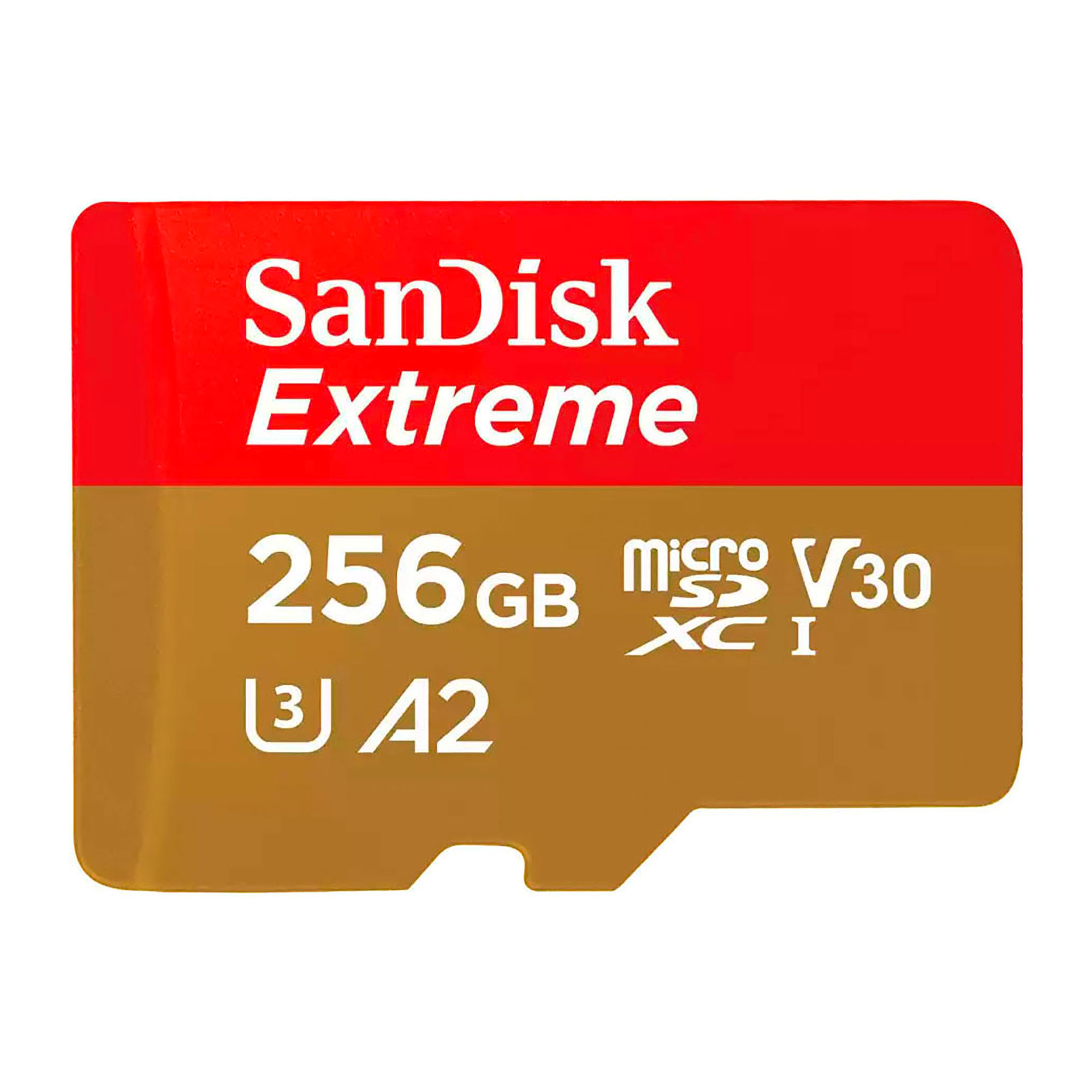 Samsung carte microSDXC 512 Go PRO Plus avec clé USB - Carte